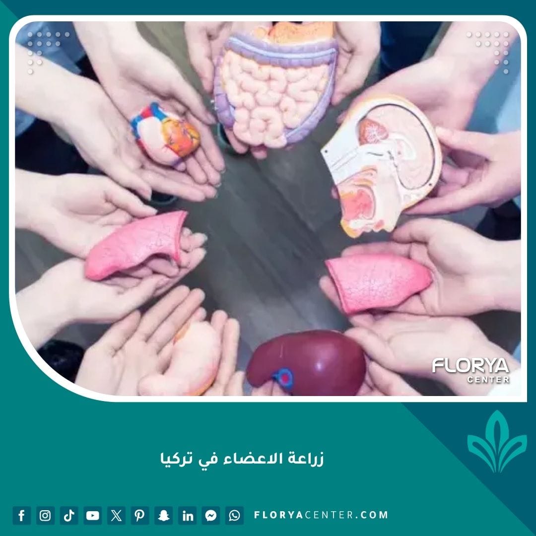 زراعة الاعضاء في تركيا