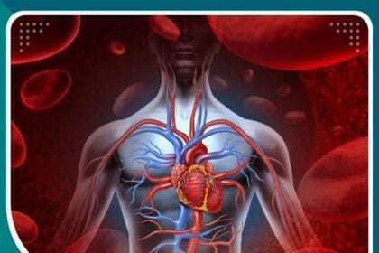 جراحة الاوعية الدموية