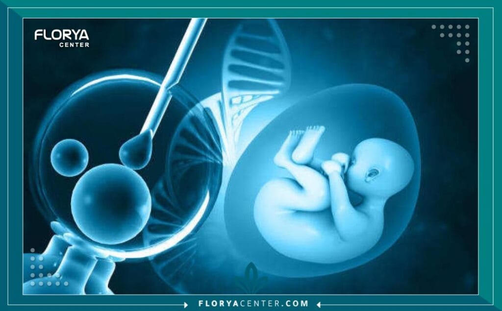 الإخصاب الأنبوبي 4 الإخصاب الأنبوبي