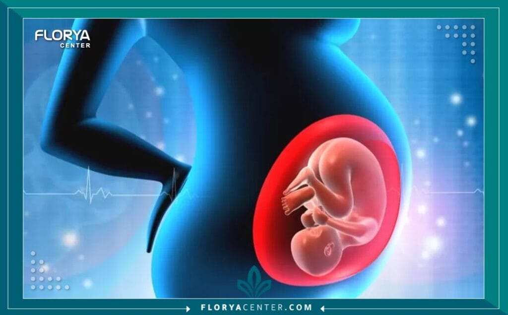 الإخصاب الأنبوبي 5 الإخصاب الأنبوبي