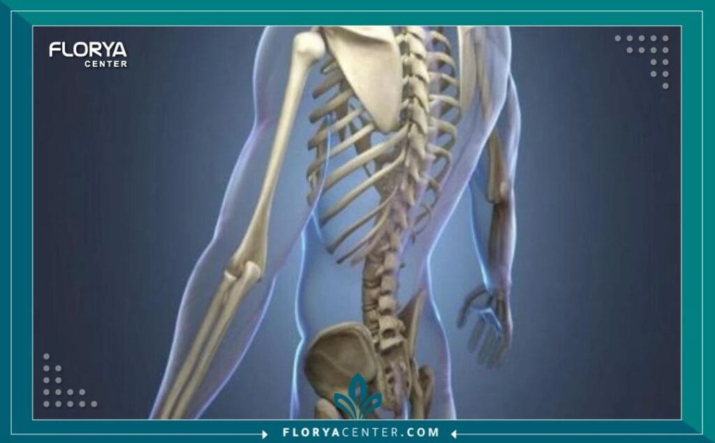 cc1 4 - جراحة العظام والمفاصل في اسطنبول تعد جراحة العظام والمفاصل في اسطنبول اليوم واحدة من أكثر الوجهات الطبية استقطاباً للمرضى حول العالم، خاصة أولئك الذين يعانون من آلام مزمنة في الحركة أو إصابات رياضية معقدة تتطلب تدخلاً جراحياً دقيقاً. إن اللجوء إلى جراحة العظام والمفاصل في اسطنبول لا يعني فقط الحصول على علاج طبي، بل هو استثمار في استعادة جودة الحياة وحرية الحركة باستخدام أحدث التقنيات العالمية. لقد أثبتت جراحة العظام والمفاصل في اسطنبول كفاءتها العالية بفضل دمج الخبرات الجراحية مع التكنولوجيا الروبوتية المتقدمة، مما يجعلها الخيار الأول للمرضى من أوروبا والشرق الأوسط.عندما نتحدث عن جراحة العظام والمفاصل في اسطنبول، فإننا نشير إلى منظومة طبية متكاملة تشمل تشخيص وعلاج أمراض الجهاز العضلي الهيكلي