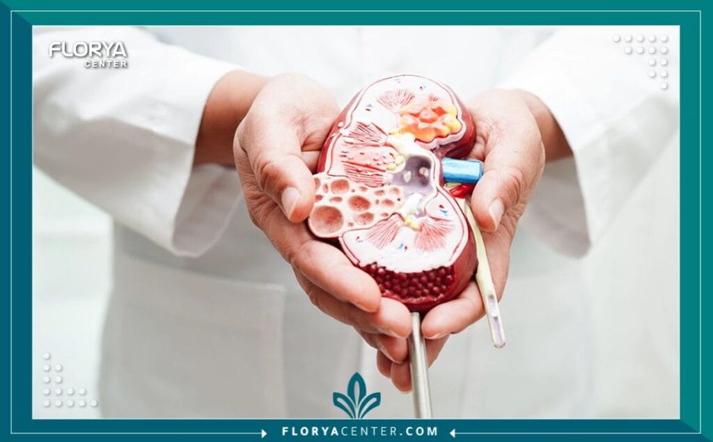 b3 14 - أفضل مستشفيات زراعة الكلى في تركيا يُعد قرار إجراء جراحة زراعة الكلى خطوة حاسمة وفاصلة في حياة مريض الفشل الكلوي. عند البحث عن أفضل مستشفيات زراعة الكلى في تركيا، فإنك لا تبحث فقط عن مركز طبي، بل تبحث عن فرصة لحياة جديدة، وعن فريق يمتلك أعلى درجات الخبرة والدقة. في السطر الأول من هذا الدليل، نؤكد أن تركيا، وتحديداً إسطنبول، قد رسخت مكانتها كوجهة عالمية رائدة في هذا المجال الطبي شديد التعقيد.