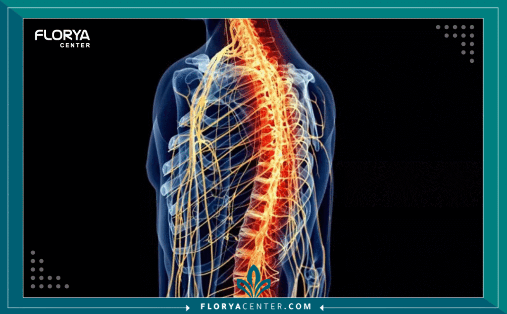 علاج العامود الفقري في إسطنبول 3 نسخة من Hayaalaje12 20250901 144810 ٠٠٠٠ - علاج العامود الفقري في إسطنبول تُعد آلام الظهر ومشاكل العمود الفقري من أكثر التحديات الصحية التي تؤثر بشكل مباشر على جودة حياة الأفراد، مما يدفع الآلاف سنوياً للبحث عن حلول جذرية وآمنة تتجاوز المسكنات المؤقتة. في السنوات الأخيرة، برز علاج العامود الفقري في إسطنبول (Spine Treatment in Istanbul) كخيار عالمي رائد يجمع بين الدقة الجراحية المتناهية والتكلفة المدروسة، مدعوماً ببنية تحتية طبية تضاهي نظيراتها في أوروبا والولايات المتحدة الأمريكية.