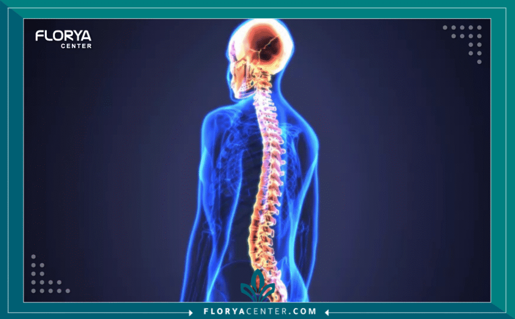 علاج العامود الفقري في إسطنبول 4 نسخة من Hayaalaje12 20250901 144842 ٠٠٠٠ - علاج العامود الفقري في إسطنبول تُعد آلام الظهر ومشاكل العمود الفقري من أكثر التحديات الصحية التي تؤثر بشكل مباشر على جودة حياة الأفراد، مما يدفع الآلاف سنوياً للبحث عن حلول جذرية وآمنة تتجاوز المسكنات المؤقتة. في السنوات الأخيرة، برز علاج العامود الفقري في إسطنبول (Spine Treatment in Istanbul) كخيار عالمي رائد يجمع بين الدقة الجراحية المتناهية والتكلفة المدروسة، مدعوماً ببنية تحتية طبية تضاهي نظيراتها في أوروبا والولايات المتحدة الأمريكية.