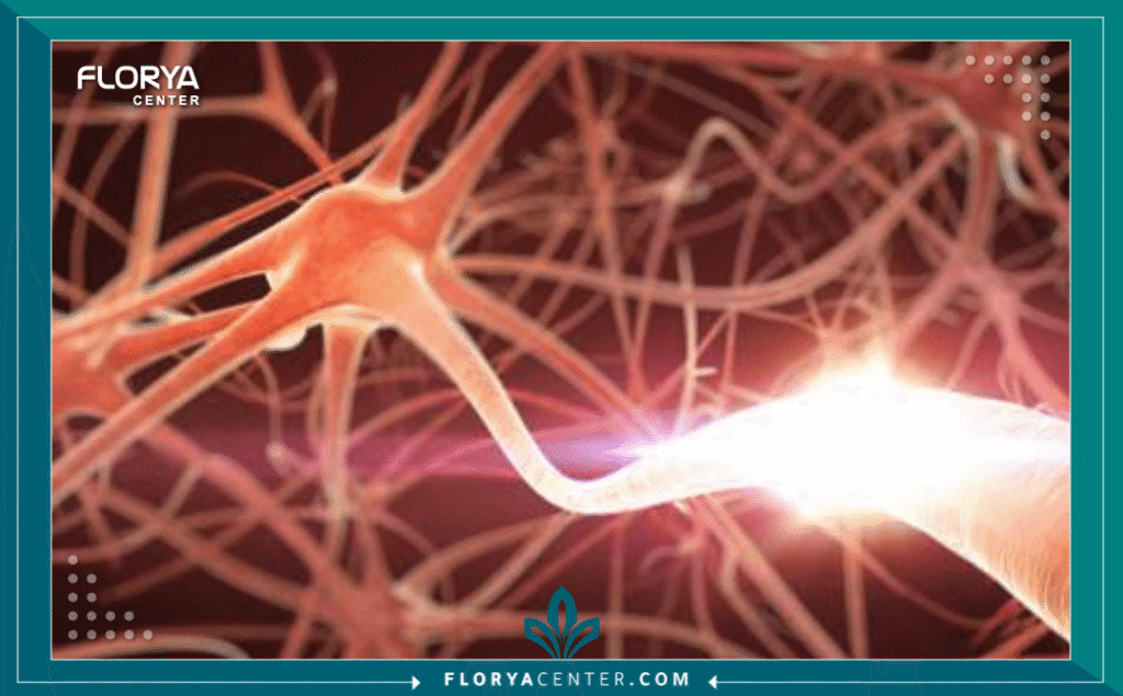 نسخة من Hayaalaje12 20250903 153931 ٠٠٠٠ - مستشفى أعصاب في اسطنبول يُعد البحث عن أفضل مستشفى أعصاب في اسطنبول الخطوة الأولى والأكثر حساسية في رحلة العلاج. صحة الجهاز العصبي، الذي يشمل الدماغ والحبل الشوكي والأعصاب الطرفية، هي حجر الزاوية في جودة الحياة. أي اضطراب في هذا النظام المعقد يتطلب دقة فائقة، وخبرة لا مثيل لها، وتكنولوجيا متطورة. اسطنبول، كواحدة من عواصم السياحة العلاجية الرائدة عالمياً، برزت كمركز ثقل لجراحة وطب الأعصاب، جاذبةً آلاف المرضى الباحثين عن الأمل والشفاء.