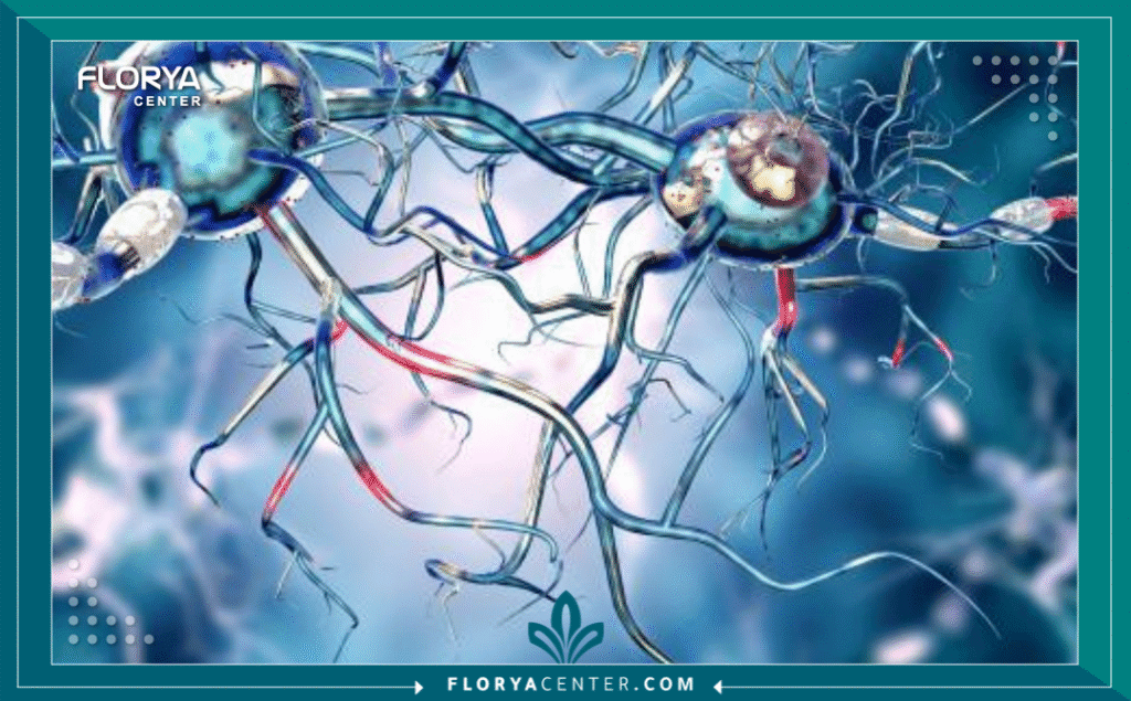 نسخة من Hayaalaje12 20250903 154123 ٠٠٠٠ - مستشفى أعصاب في اسطنبول يُعد البحث عن أفضل مستشفى أعصاب في اسطنبول الخطوة الأولى والأكثر حساسية في رحلة العلاج. صحة الجهاز العصبي، الذي يشمل الدماغ والحبل الشوكي والأعصاب الطرفية، هي حجر الزاوية في جودة الحياة. أي اضطراب في هذا النظام المعقد يتطلب دقة فائقة، وخبرة لا مثيل لها، وتكنولوجيا متطورة. اسطنبول، كواحدة من عواصم السياحة العلاجية الرائدة عالمياً، برزت كمركز ثقل لجراحة وطب الأعصاب، جاذبةً آلاف المرضى الباحثين عن الأمل والشفاء.