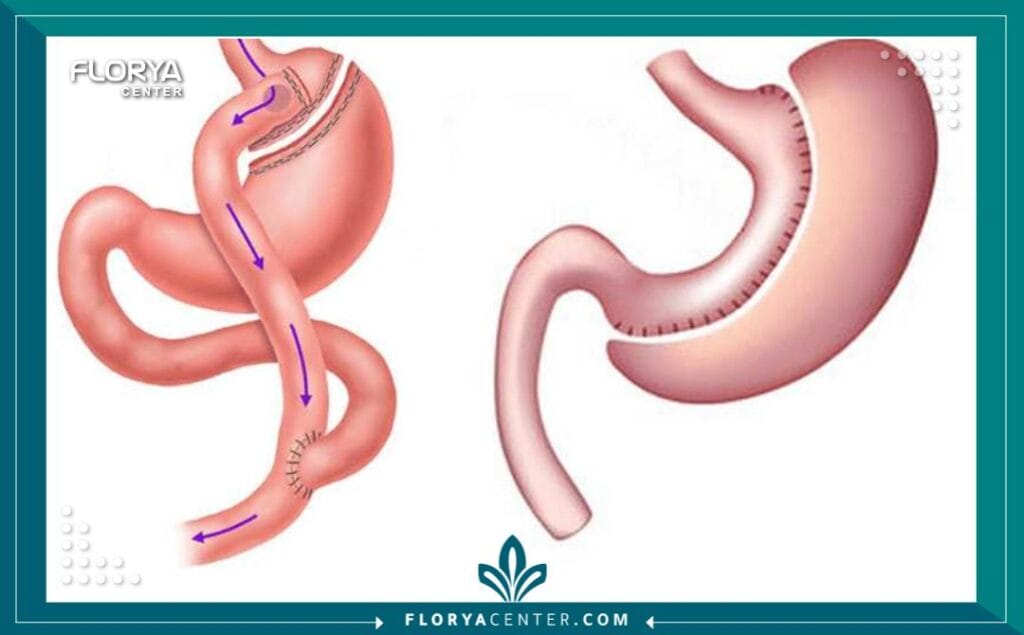 تحتوي هذه الصورة على سمة alt فارغة؛ اسم الملف هو c2-7-1024x635.jpg