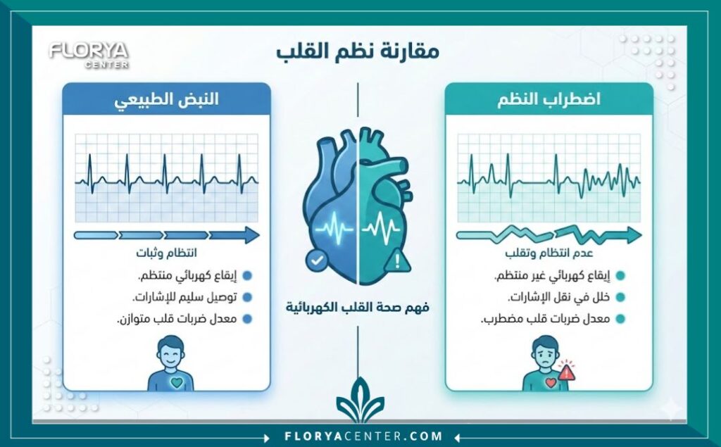 إنفوجرافيك طبي يقارن بين ضربات القلب الطبيعية واضطراب نبض القلب (أريثميا) وأفضل دكتور كهرباء القلب.