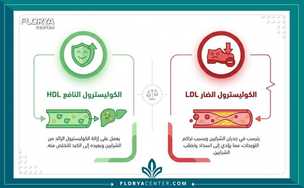 انفوجرافيك يوضح أنواع الكوليسترول النافع والضار وكيفية التمييز بينهما وأفضل دكتور لعلاج الكوليسترول.
