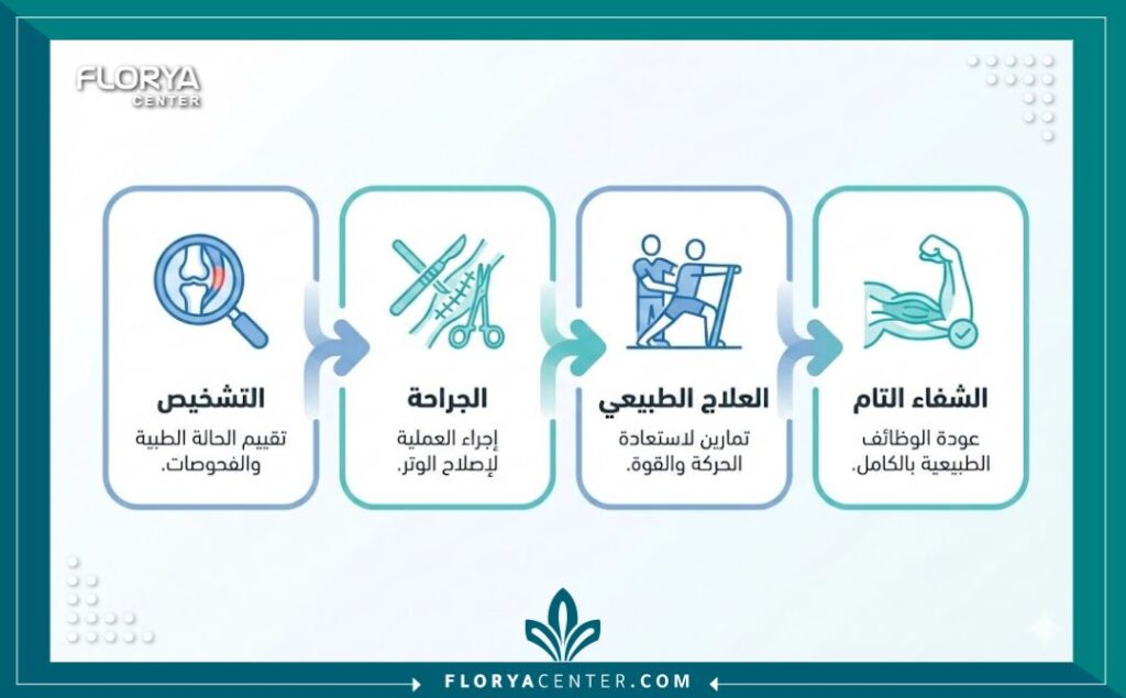 إنفوجرافيك يوضح مراحل التعافي بعد عملية جراحة الوتر المقطوع في تركيا.