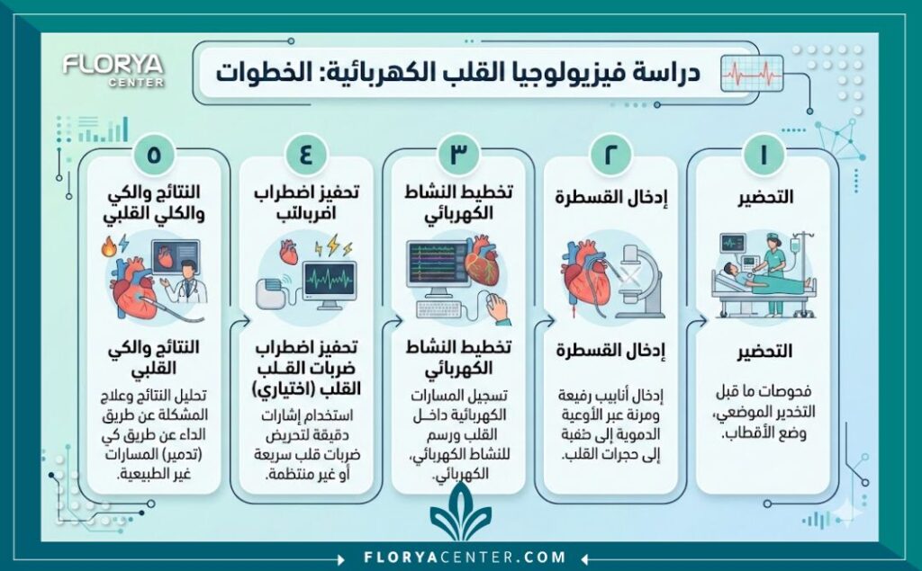 إنفوجرافيك طبي يوضح خطوات عملية الدراسة الكهروفيزيولوجية للقلب بالتفصيل مع أيقونات ونصوص باللغة العربية.