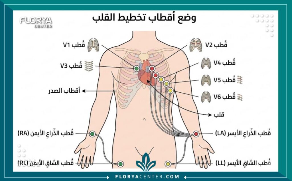 رسم تخطيطي طبي يوضح كيفية استخدام موجات السونار في فحص تدفق الدم داخل الشرايين.