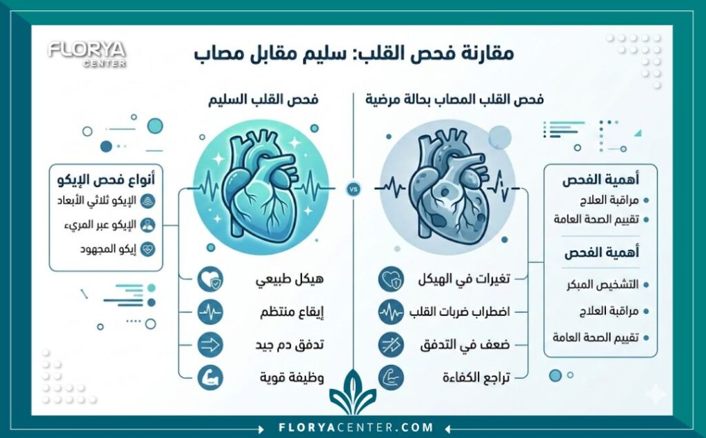 إنفوجرافيك طبي يوضح أنواع فحص الموجات الصوتية للقلب ودواعي استخدامه.