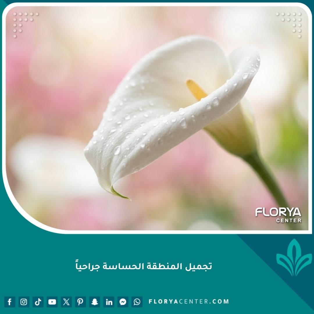 الصورة الرئيسية لعمليات تجميل المنطقة الحساسة جراحياً ترمز للأنوثة والجمال.