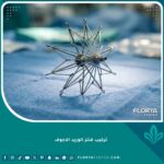 صورة مميزة لعملية تركيب فلتر الوريد الأجوف السفلي بتقنية القسطرة المتطورة.