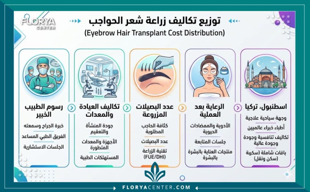 إنفوجرافيك يوضح عوامل تحديد تكلفة زراعة شعر الحواجب بما في ذلك رسوم الطبيب وعدد البصيلات.