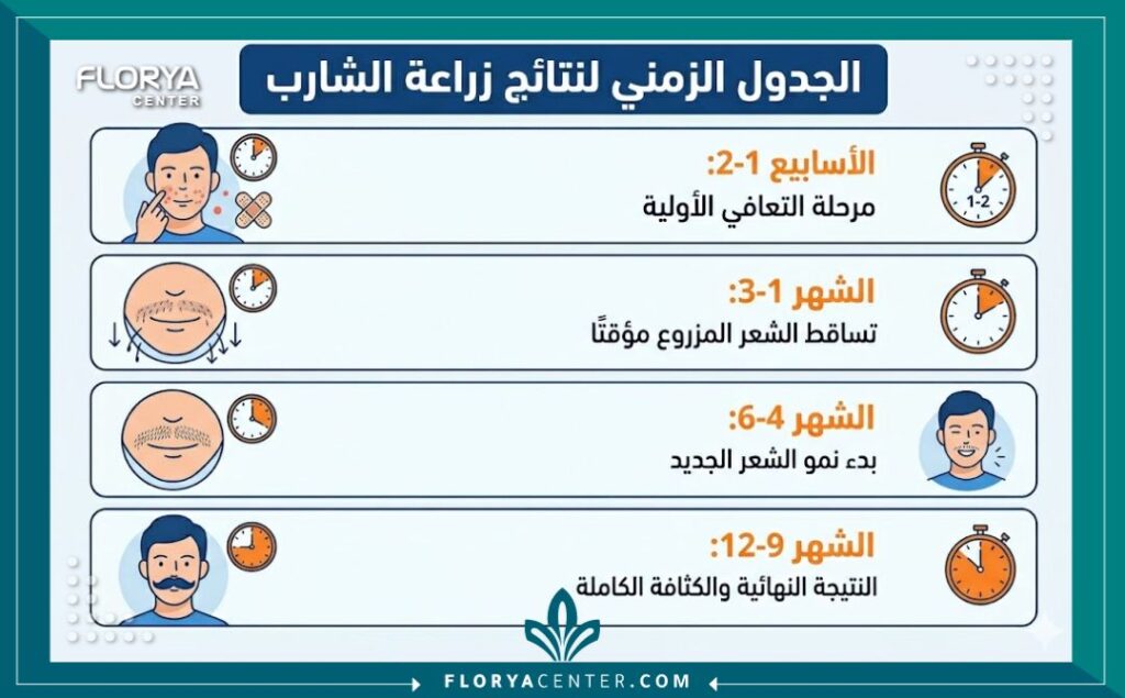 إنفوجرافيك يوضح الجدول الزمني لنتائج زراعة الشنب المتوقعة، من فترة التعافي إلى النمو الكامل والشكل النهائي.