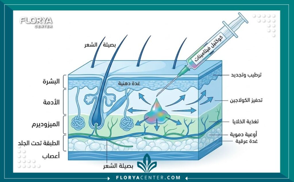 رسم توضيحي طبي يوضح حقن الميزوثيرابي في طبقة الميزوديرم لعلاج تصبغات الوجه وتجديد الخلايا.