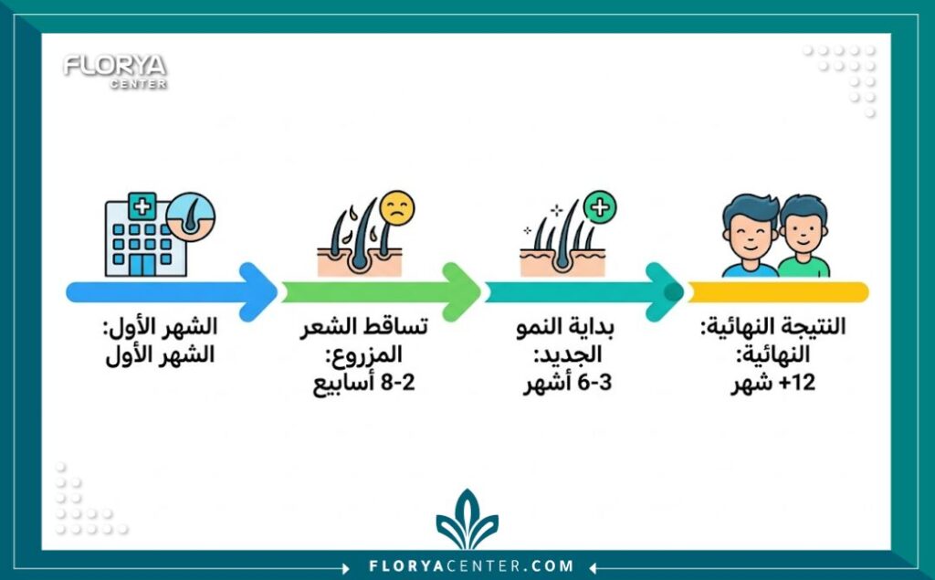 إنفوجرافيك يوضح الجدول الزمني لنمو الشعر بعد الزراعة ومرحلة التساقط الطبيعي المؤقت وهل يتساقط الشعر بعد الزراعه.
