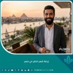 رجل وسيم بلحية كاملة ومرسومة بعناية يبدو واثقاً بعد عملية زراعة شعر الذقن في مصر، مع خلفية بانورامية للنيل والأهرامات وقت الغروب.