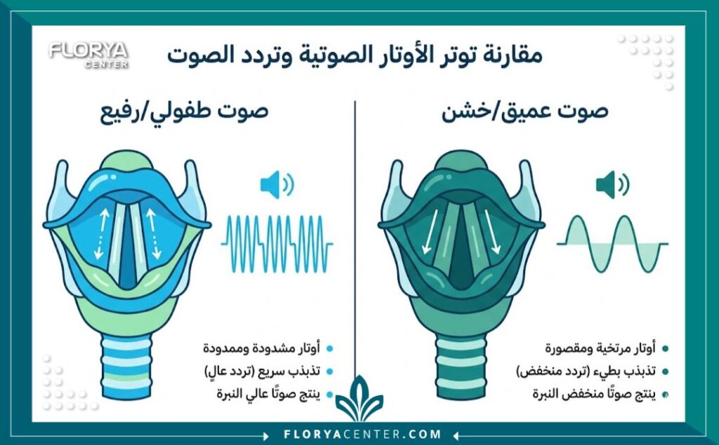 إنفوجرافيك يقارن بين حالة الحبال الصوتية قبل وبعد عملية تخشين الصوت