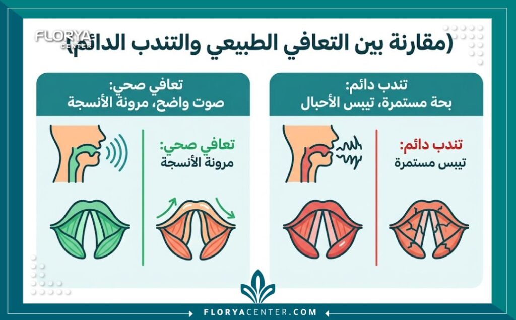 إنفوجرافيك طبي يقارن بين التئام الحبال الصوتية الطبيعي ومضاعفات التندب الدائم.