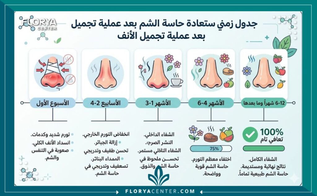 هل تؤثر عملية الأنف على حاسة الشم؟ 3 إنفوجرافيك طبي يوضح مراحل تعافي حاسة الشم وزوال التورم التدريجي بعد عملية الأنف وهل تؤثر عملية الأنف على حاسة الشم؟.