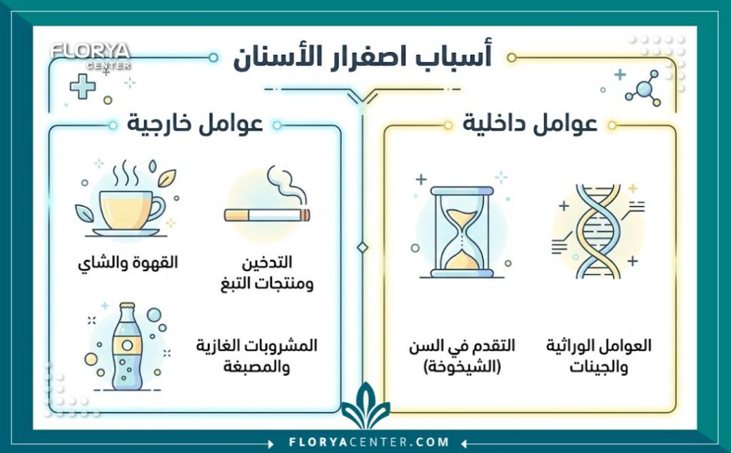 إنفوجرافيك طبي يشرح لماذا يصفر لون الاسنان الخارجية مثل التدخين والقهوة، والداخلية مثل الوراثة والتقدم في العمر.