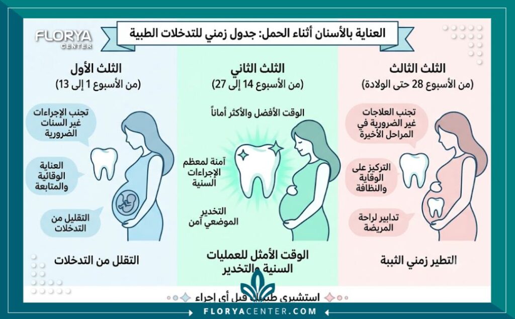 إنفوجرافيك طبي يوضح أن الثلث الثاني من الحمل هو الوقت الأكثر أماناً لإجراء علاجات وتلقي بنج الاسنان للحامل الموضعي.
