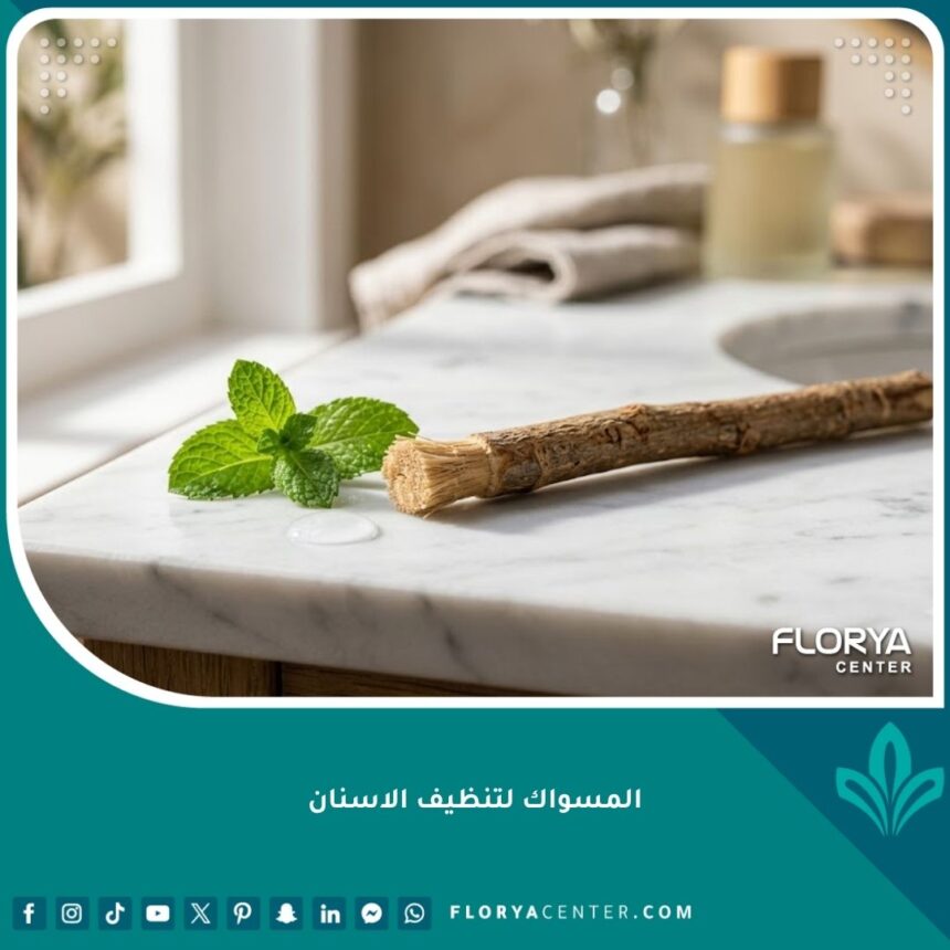 صورة عالية الدقة توضح المسواك لتنظيف الاسنان بطريقة طبيعية مع أوراق النعناع المنعشة.