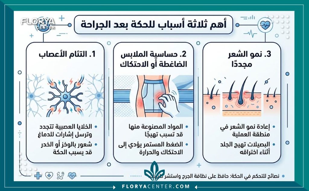 إنفوجرافيك يشرح أسباب الحكة حول جرح عملية شد البطن مثل حساسية المشد الطبي والتئام الجرح.