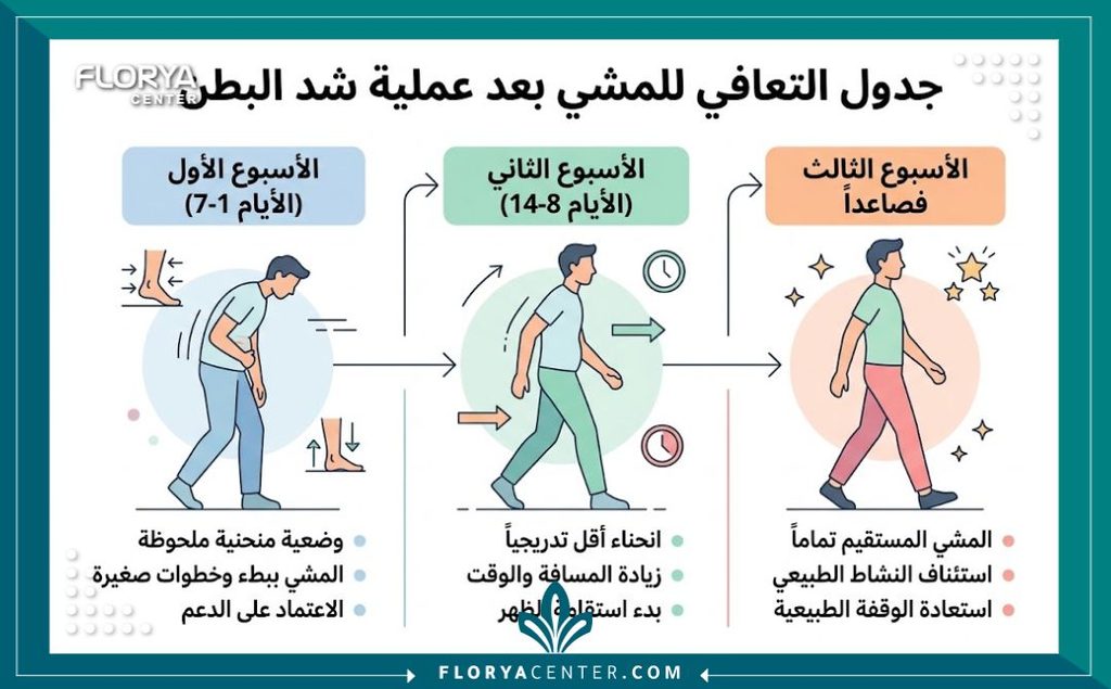المشي بعد شد البطن 3 إنفوجرافيك يوضح مدة المشي بانحناء بعد شد البطن والجدول الزمني للعودة إلى الوقوف باستقامة.
