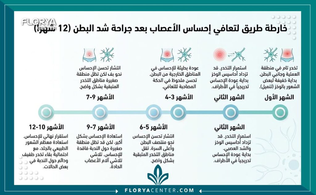 إنفوجرافيك يوضح الجدول الزمني التدريجي لتعافي الإحساس واختفاء تنميل البطن بعد عملية الشد خلال عام كامل.