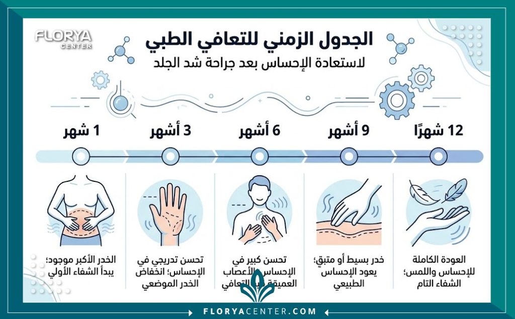 إنفوجرافيك يوضح الجدول الزمني لتعافي الأعصاب واختفاء التنميل تدريجياً خلال 6 إلى 12 شهراً بعد عملية شد الجلد.