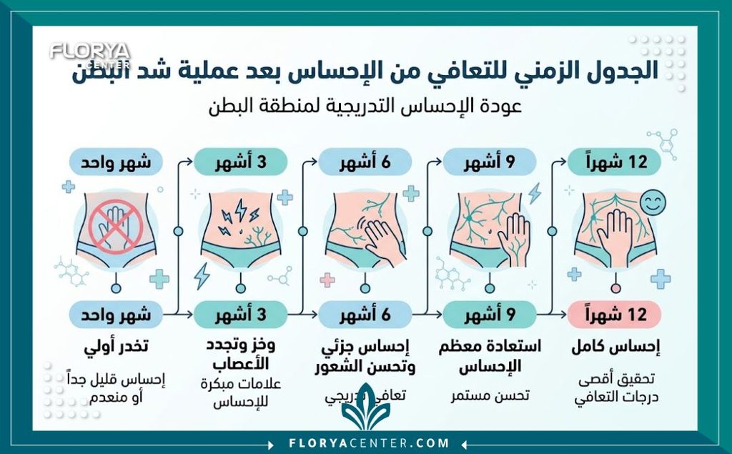 إنفوجرافيك يوضح الجدول الزمني لعودة الإحساس للبطن بعد عملية الشد التدريجي من شهر وحتى 12 شهراً.