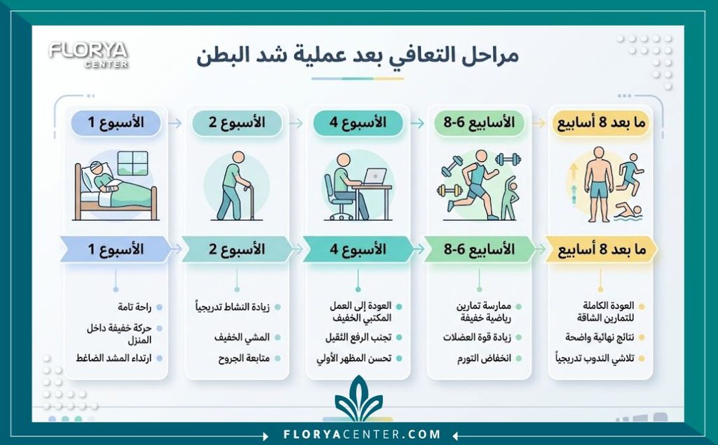 إنفوجرافيك يوضح الجدول الزمني لمراحل التعافي ومدة الشفاء من شد البطن وموعد العودة للعمل والحياة الطبيعية.